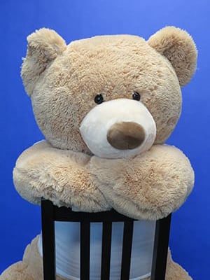 Mr. LIVE UNITED Bear Mascot